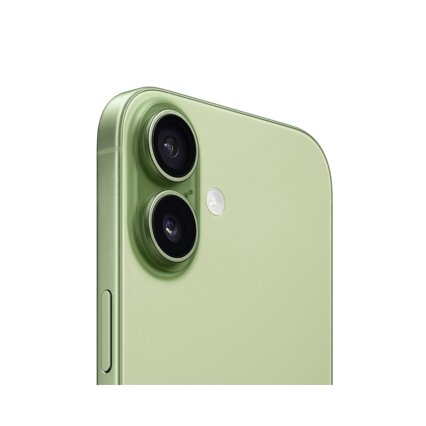 Apple iPhone 17 зелёный eSIM