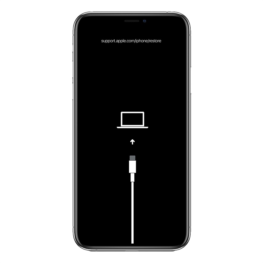 Восстановление iOS / iPadOS